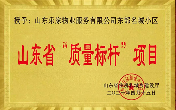 回顾山东一滕集团2021大事记